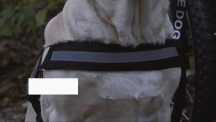 Control total en cada aventura: arnés antitirones para paseos seguros🦮