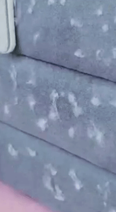 ✨ ¡Adiós a los pelos de mascota en un abrir y cerrar de ojos! Removedor de Lana Mágico