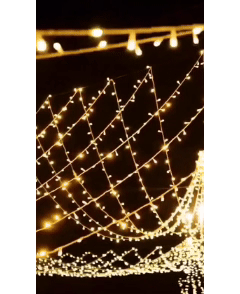 Luces Navideñas 100 LED | Cable Transparente 10m | Luz Cálida