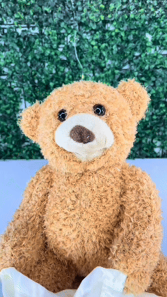 Oso De Peluche Interactivo Juega Al Escondite