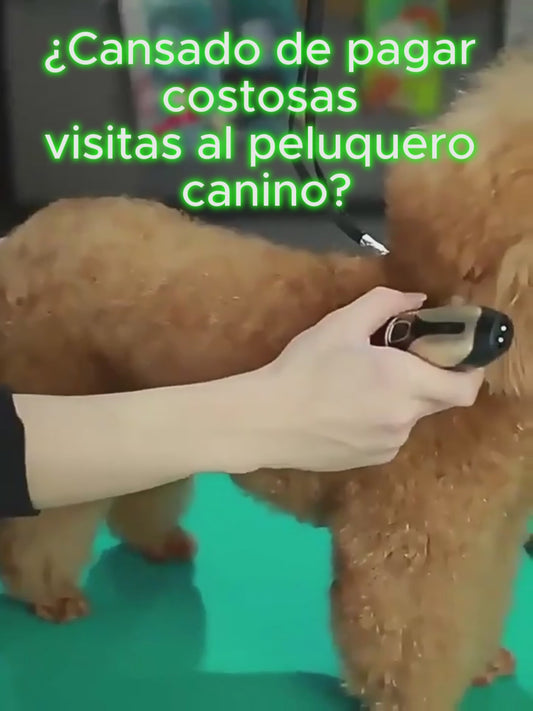 Cortadora de Pelo Silenciosa SN-236 para Mascotas: Tu Kit Profesional para un Acicalado Sin Estrés en Casa (Envío Rápido)